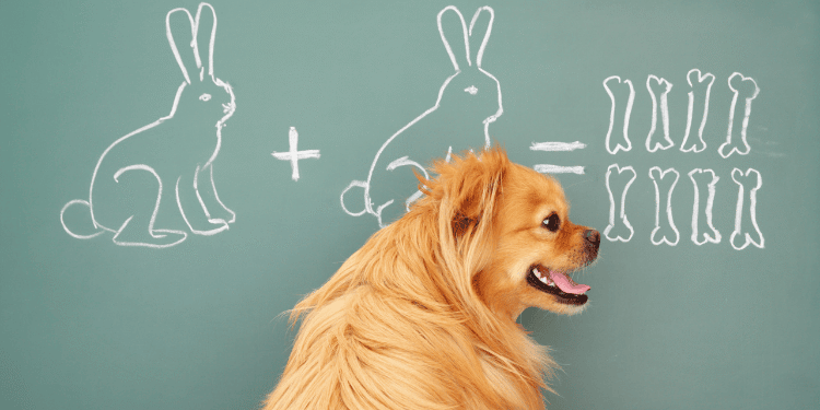 neurodiverse learners (1)